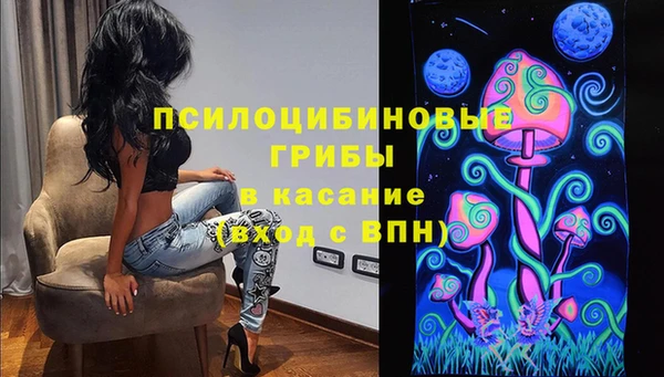 apvp Алзамай