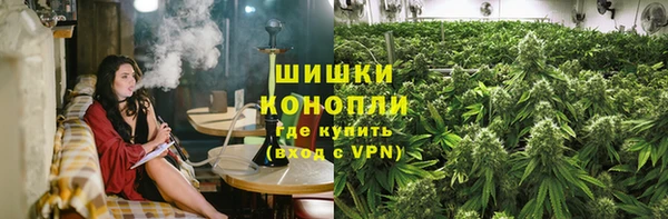 apvp Алзамай