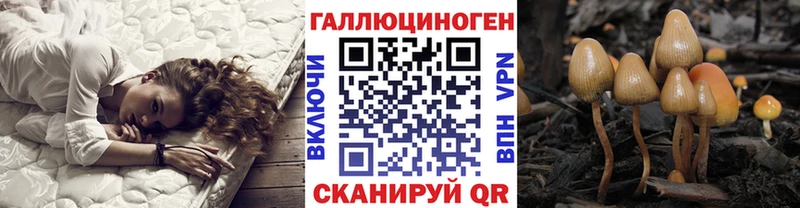 Псилоцибиновые грибы MAGIC MUSHROOMS  сколько стоит  Фурманов 