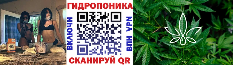 omg маркетплейс  Фурманов  Шишки марихуана тримм 